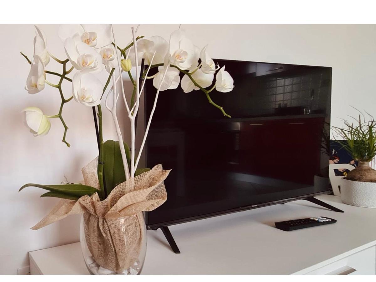 Olga & Gio - Vicino Al Centro Di Cesena Apartment ภายนอก รูปภาพ